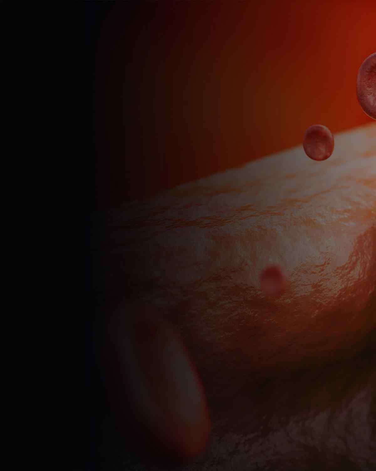 https://www.oncoprecision.cl/wp-content/uploads/2021/08/interactive_image_left-1.jpg