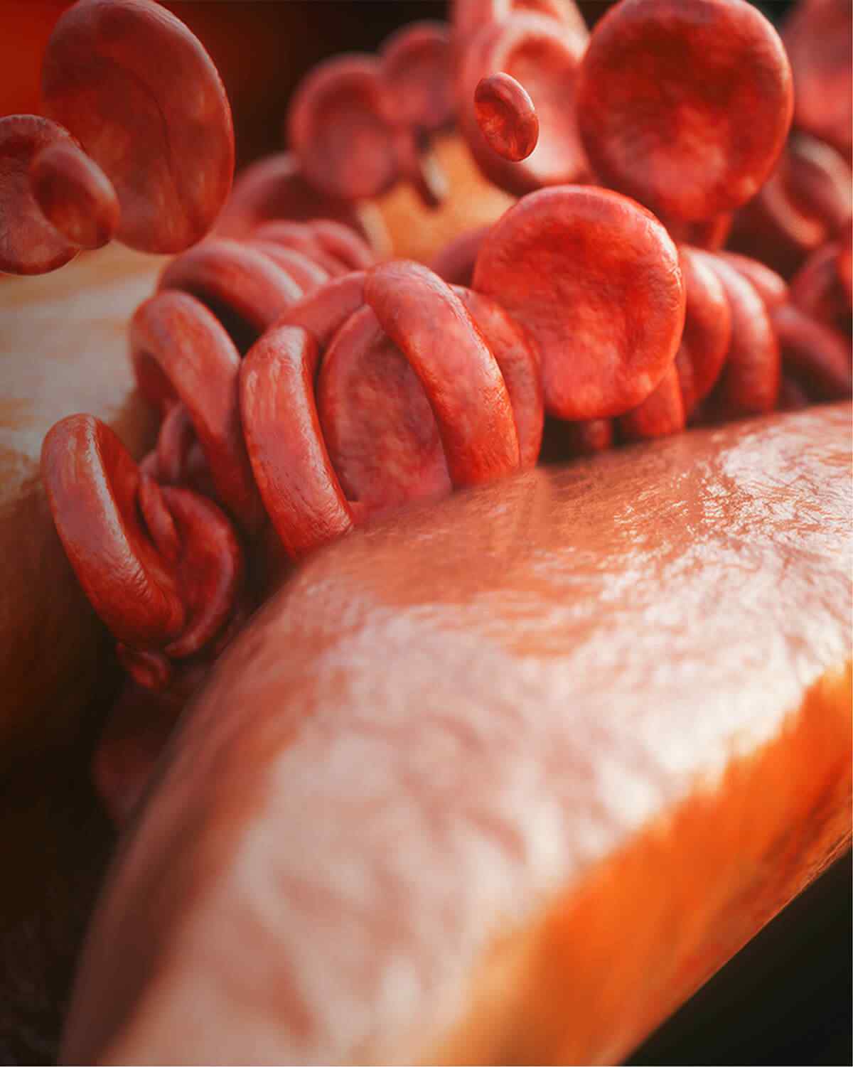 https://www.oncoprecision.cl/wp-content/uploads/2021/08/interactive_image_right-1.jpg