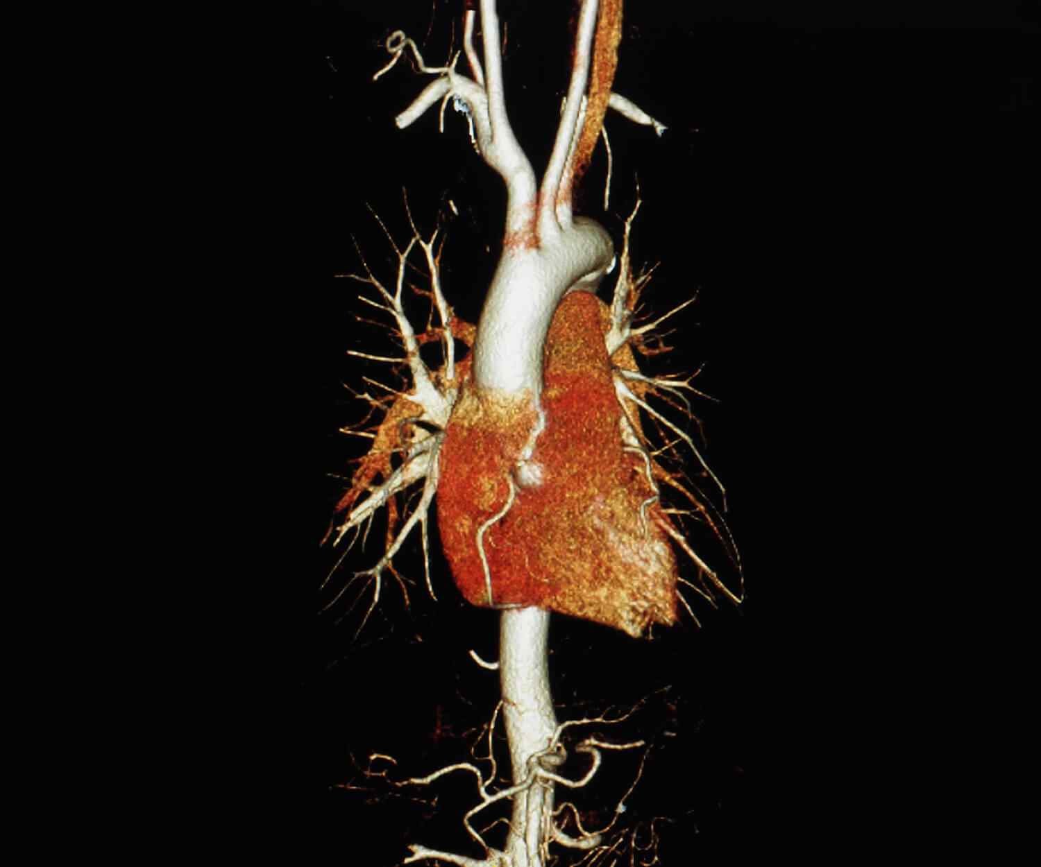 https://www.oncoprecision.cl/wp-content/uploads/2021/09/card_image_10.jpg