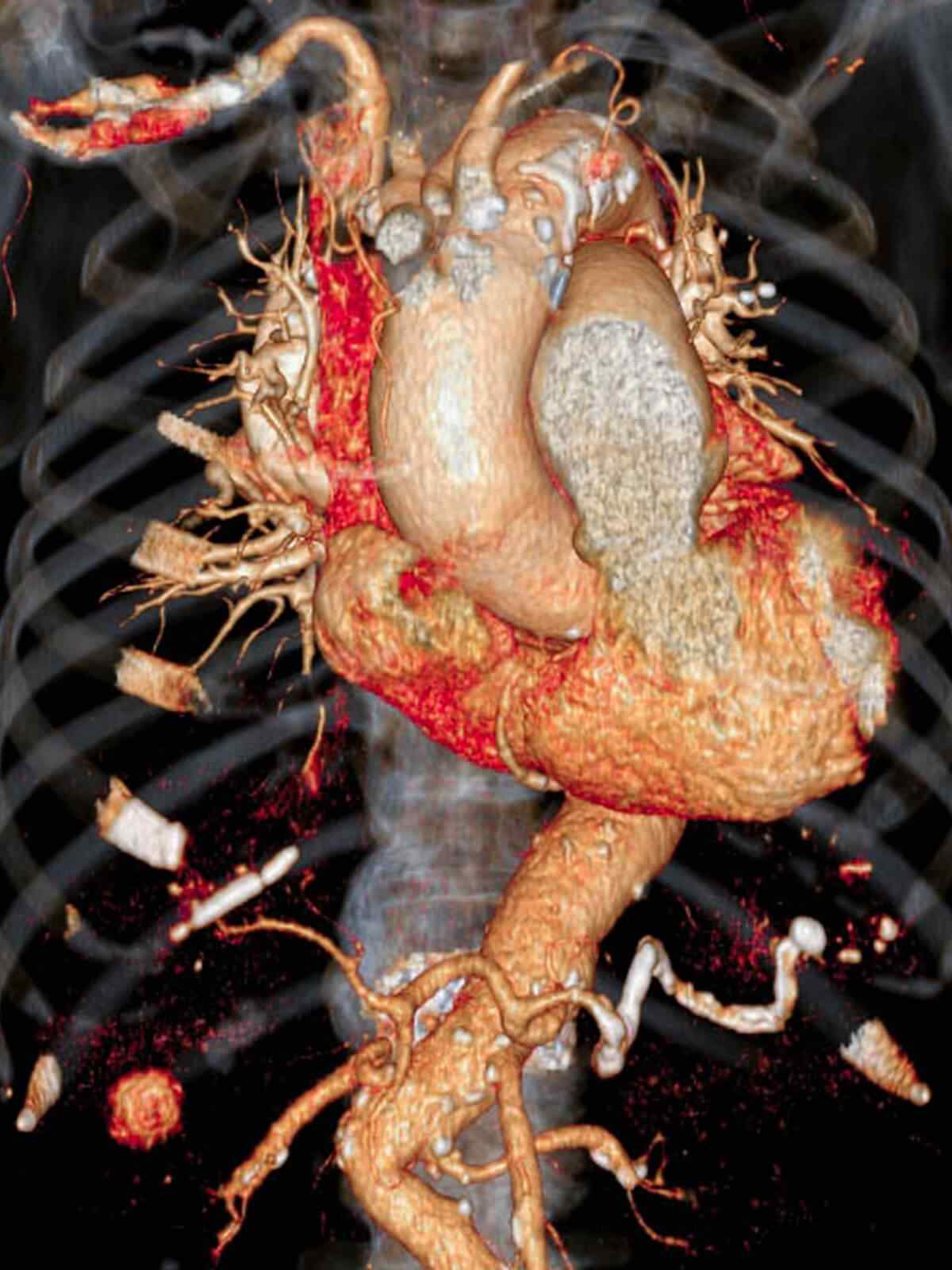 https://www.oncoprecision.cl/wp-content/uploads/2021/09/single_service_01.jpg