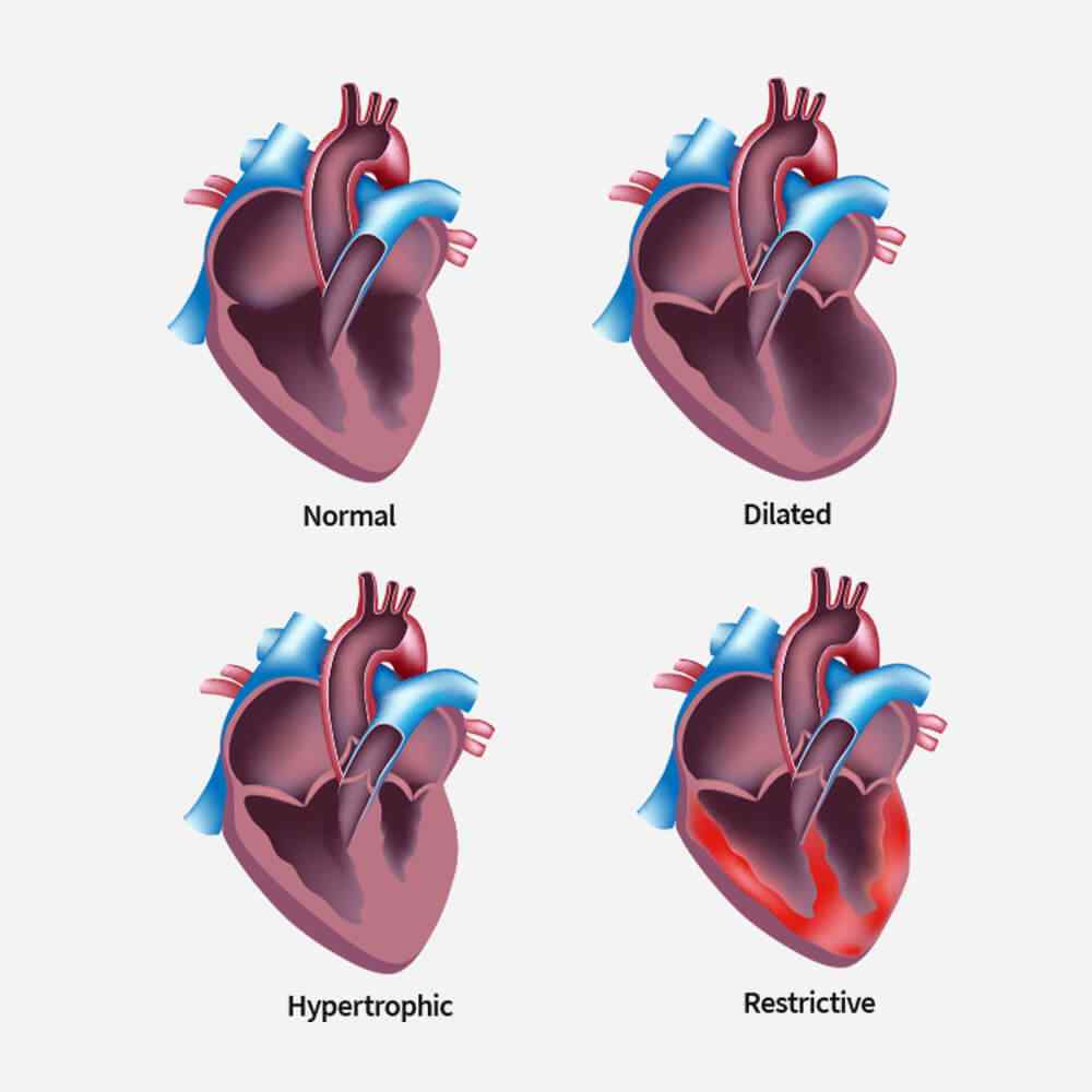 https://www.oncoprecision.cl/wp-content/uploads/2021/09/single_service_02.jpg