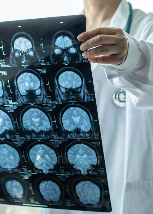 https://www.oncoprecision.cl/wp-content/uploads/2022/09/IMG2.jpg